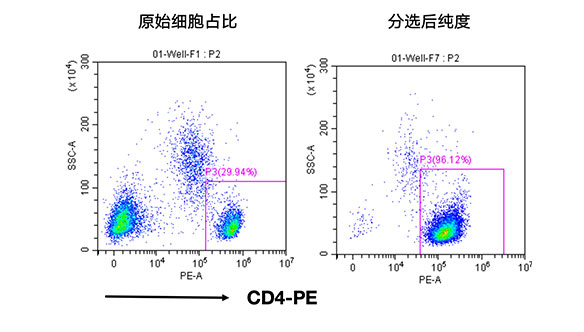 人CD4+细胞分选试剂盒（科研级）