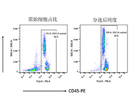 人CD45+细胞分选试剂盒（科研级）