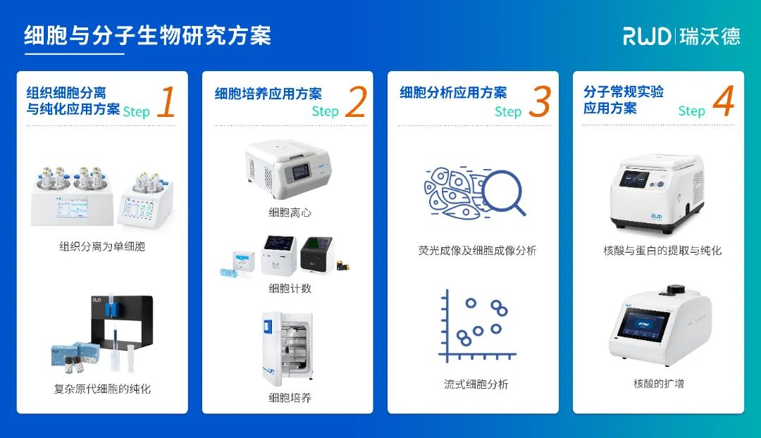 2-瑞沃德细胞与分子生物研究方案.jpg