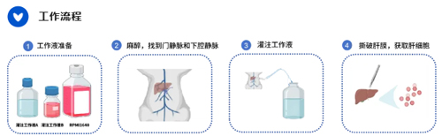 干细胞与肝细胞提取试剂盒