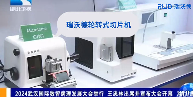瑞沃德轮转式切片机闪耀亮相2024武汉国际数智病理发展大会