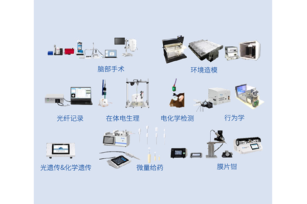 神经生物学教学实验产品方案